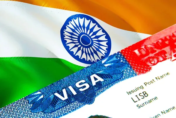 Professional visa consultation